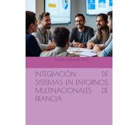 INTEGRACIÓN DE SISTEMAS EN ENTORNOS MULTINACIONALES DE FRANCIA