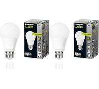 Integral Ampoule LED GLS E27 non-dimmable à double capteur crépusculaire - Blanc froid 4000K, 806lm, 8W (équivalent 60W) - Basse consommation et idéale pour l'extérieur (Lot de 2)