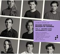 Johannes Brahms Brahms: Intégrale Musique De Chambre: Oeuvres Avec Instrume (CD)