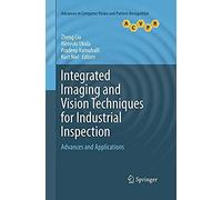 Integrated Imaging And Vision Techniques For Industrial Inspection