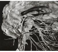 INTEGRITY Suicide Black Snake (CD)