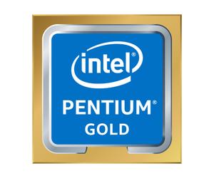 Intel Pentium Gold G6600 processeur 4,2 GHz 4 Mo Smart Cache Boîte