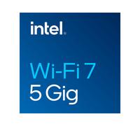 Intel Wi-Fi 7 BE200.NGWG - Adaptateur WLAN/Bluetooth 5.4 M.2 2230, 5800 Mbit/s, Tri-bande 2.4/5/6 GHz, 802.11be, MU-MIMO, Windows 10/11 & Linux