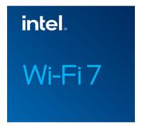 Intel Adaptateur WLAN Wi‑Fi 7 BE202 M.2 interne Bluetooth 2400 Mbit/s non vPro