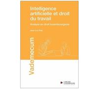 Intelligence Artificielle Et Droit Du Travail - Analyse En Droit Luxembourgeois