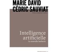 Intelligence artificielle Marie David (Auteur), Cédric Sauviat (Auteur), Matthew Crawford (Préface)