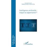 Stéphane Kalla, Berna Oruc – Intelligence artificielle : risque ou opportunité ? – Essai – Broché