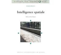Intelligence Spatiale