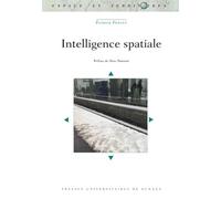 Intelligence spatiale: Préface de Marc Dumont