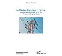 Intelligence stratégique et énergie : un tandem indissociable au service d'une nouvelle géopolitique