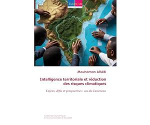 Intelligence territoriale et réduction des risques climatiques: Enjeux, défis et perspectives : cas du Cameroun