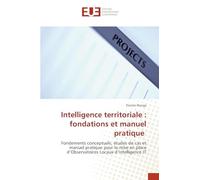 Intelligence territoriale : fondations et manuel pratique: Fondements conceptuels, études de cas et manuel pratique pour la mise en place d'Observatoires Locaux d'Intelligence IT