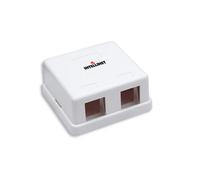 Intellinet 162852 Boîtier de Prise de Courant Blanc 2 Ports - Alimentation Standard pour Installation Électrique