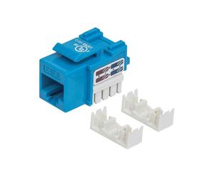 Intellinet 210737 Module Keystone RJ-45 Femelle Cat6 U/UTP AWG 22-26, Corps Plastique, -40°C à 80°C, Dimensions 18x28.3x20.8mm, Bleu, Unité