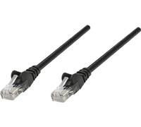 intellinet chat u utp 15 m 6 reseau cable