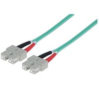 Intellinet 751025 câble InfiniBand et à fibres optiques 1 m SC Couleur aqua
