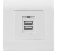 Intellinet Prise Murale USB-A - Prise Murale encastrée avec Deux Ports USB de Type A, Chocolat, Plastique Ignifuge - Blanc (80 x 80 mm)