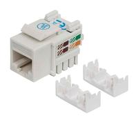 Intellinet Embase CAT6 pour découpe standard, UTP, blanc, terminaison à impact - Prise modulaire - CAT 6 - UTP - RJ-45 - blanc