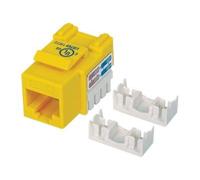 Intellinet Embase CAT6 pour découpe standard, UTP, jaune, terminaison à impact - Jack avec fonction de correction keystone - CAT 6 - UTP - RJ-45 - jaune