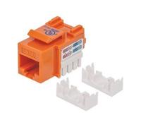 Intellinet Embase CAT6 pour découpe standard, UTP, orange, terminaison à impact - Jack avec fonction de correction keystone - CAT 6 - UTP - RJ-45 - orange