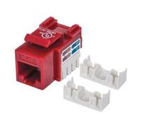 Intellinet Embase CAT6 pour découpe standard, UTP, rouge, terminaison à impact - Jack avec fonction de correction keystone - CAT 6 - UTP - RJ-45 - rouge