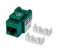 Intellinet Embase CAT6 pour découpe standard, UTP, vert, terminaison à impact - Jack avec fonction de correction keystone - CAT 6 - UTP - RJ-45 - vert