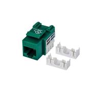 Intellinet Embase CAT6 pour découpe standard, UTP, vert, terminaison à impact - Jack avec fonction de correction keystone - CAT 6 - UTP - RJ-45 - vert