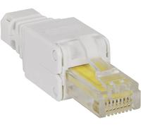 Intellinet 790482 connecteur de fils RJ45 Blanc
