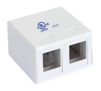INTELLINET - INTELLINET IWP-MD SC-2 A MURALE PAR 2 KEYSTONE BLANC FRUIT