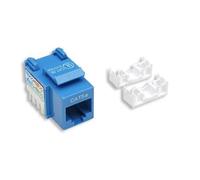 Intellinet - Prise modulaire - RJ-45 - bleu