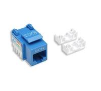 Intellinet - Prise modulaire - RJ-45 - bleu