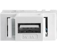 Intellinet USB 2.0 Adaptateur [1x câble à 2 fils - 1x USB 2.0 type A femelle] Modularbuchse mit USB Typ A-Ladeport USB-Port mit 5 V / 1 A Ausgangsleistung