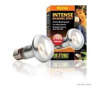 Intense Basking Spot Ampoule 50 W