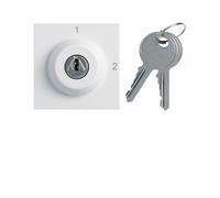 Inter clé 2 posi. 2M pure - APPAREILLAGE MURAL GALLERY HAGER WXF615B