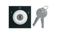 Inter clé 3 posi. 2M night - APPAREILLAGE MURAL GALLERY HAGER WXF616N