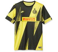 Inter Nike Y NK Dry Top SS Pmcl, T-Shirt Unisexe L Tour Yellow/Tour Yellow/Tour Yellow