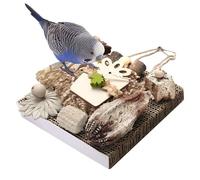 interactifs en bois pour oiseaux : à mâcher pour oiseaux, accessoires pour animaux de compagnie pour de jeux, balcons robustes, patio de poulets, fenêtre intérieure spéciale pour
