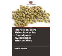 Interaction entre Rhizobium et les champignons mycorhiziens arbusculaires