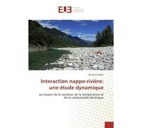 Interaction Nappe-RiviEre: Une Étude Dynamique - Vincent GRUBER - Universitaires Europeennes - broché - Livre