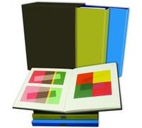 Interaction of Color by Josef Albers Josef Albers (Auteur)