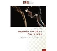 Interaction Tourbillon / Couche limite Sebastien Prothin (Auteur)