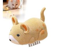 Interactive Cat Toys for Indoor Cats, 2025 Nouveau Jouet de Souris interactif pour Chats, Toys de Souris électrique en Mouvement réaliste pour Toutes Les Races d'exercice d'ennui (C)