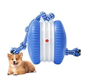 Interactive Dog Ball - Jouet auto-activé pour animaux de compagnie avec corde | Enrichment Toy for Dogs, Indoor & Outdoor Floor Play, Scratching, Climbing, Exercise, Mental Stimulation, Home Fun