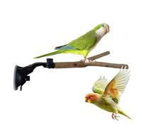 Interactive Parrot Shower Stand, Movable Suction Perch, Bird Window Mount with Stability, Suction Base, Secure Bathing Base for Parakeets, Reliable Macaw Lovebirds Outdoor Cage Attachment