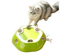 Interactive Toys For Cats | Smart Motion Sensing Exercise Game With Tassel