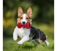 Interaktive Hundespielzeug Jouets pour animaux de compagnie Tour penchée Anneau Appel Fuite Aliments Grincement des dents Remplissage de la nourriture Chiots de taille moyenne et grande Chiots Seuls