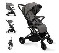 Interbaby - Poussette Canne Voyage | Poussette Compacte de la Naissance à 48 Mois ou 22 kg | Bouton de Pliage Rapide, Amortisseurs, Capote XXL Interchangeable, Accoudoirs | Poussette Grey