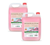Intercabo - Lot 2 x 5 L Gel Douche Fleur d’Amandier • Soin Quotidien Doux et Parfumé • Recharges Économiques pour Distributeurs • Formule Respectueuse de la Peau • Usage Professionnel ou Domestique