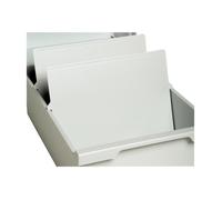 Intercalaire A6 - EXACOMPTA - Gris clair - Pack de 2 - Papier - Paysage