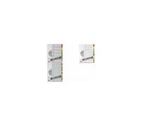 PAGNA Intercalaires en carton, A4, 10 touches, extra large G